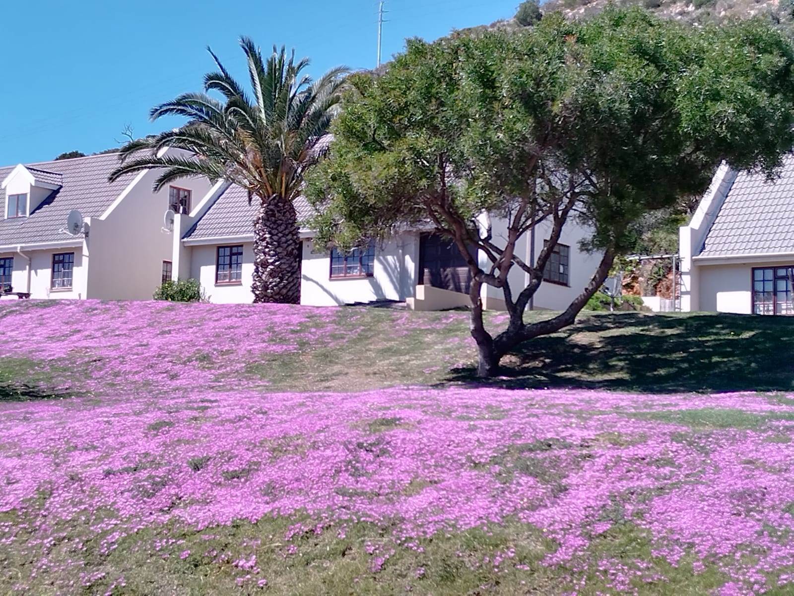 224 m² Land available in Mossel Bay Central photo number 4