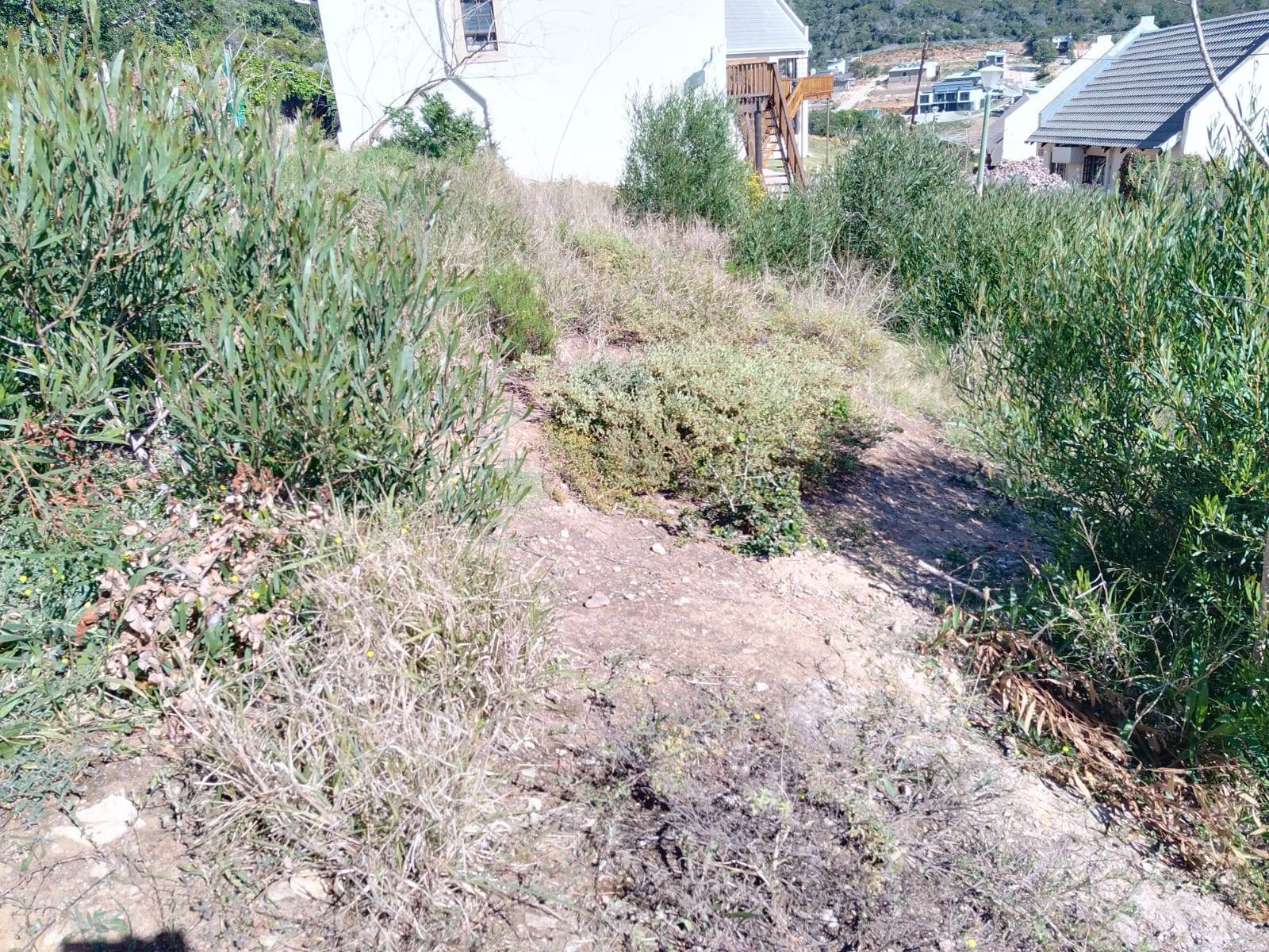 224 m² Land available in Mossel Bay Central photo number 5