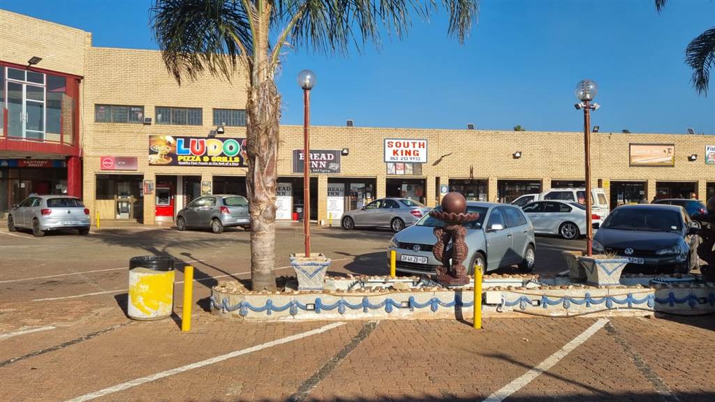 4800  m² Commercial space in Lenasia South photo number 14