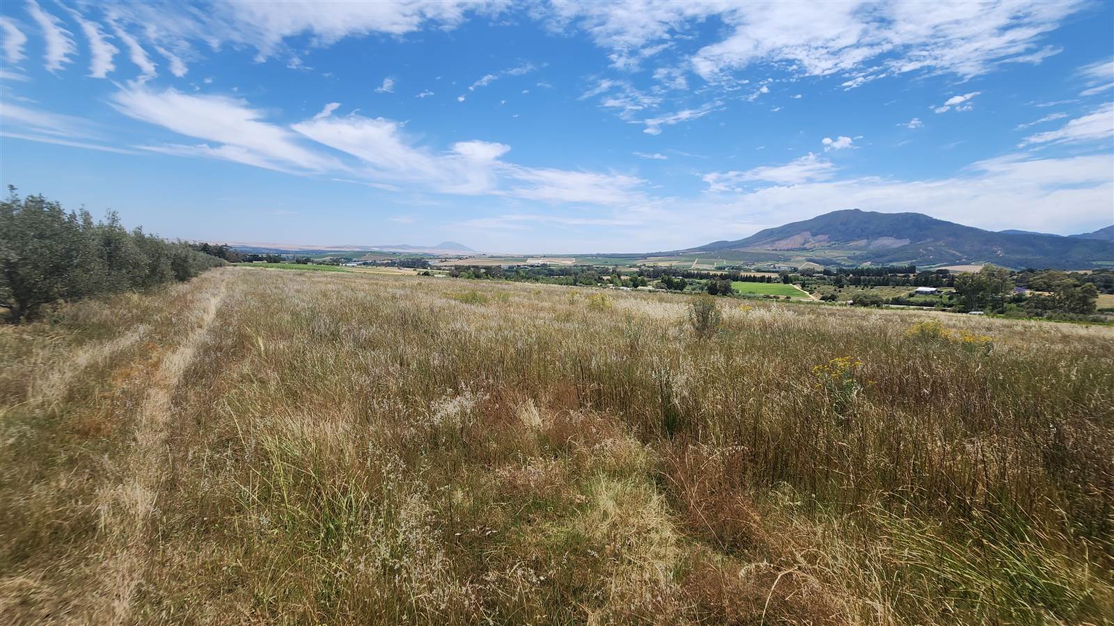 6 ha Smallholding in Northern Paarl photo number 13