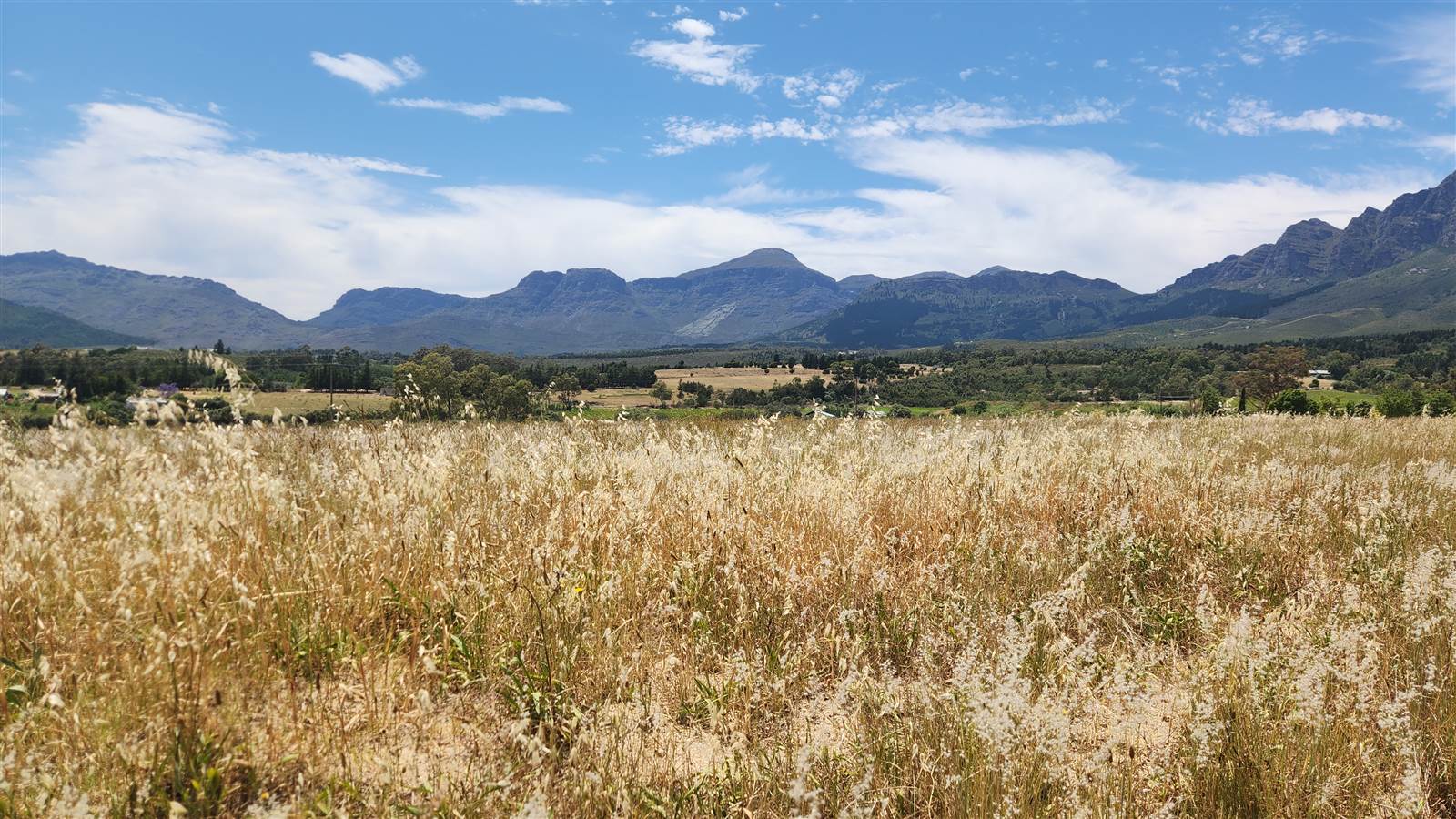 6 ha Smallholding in Northern Paarl photo number 11