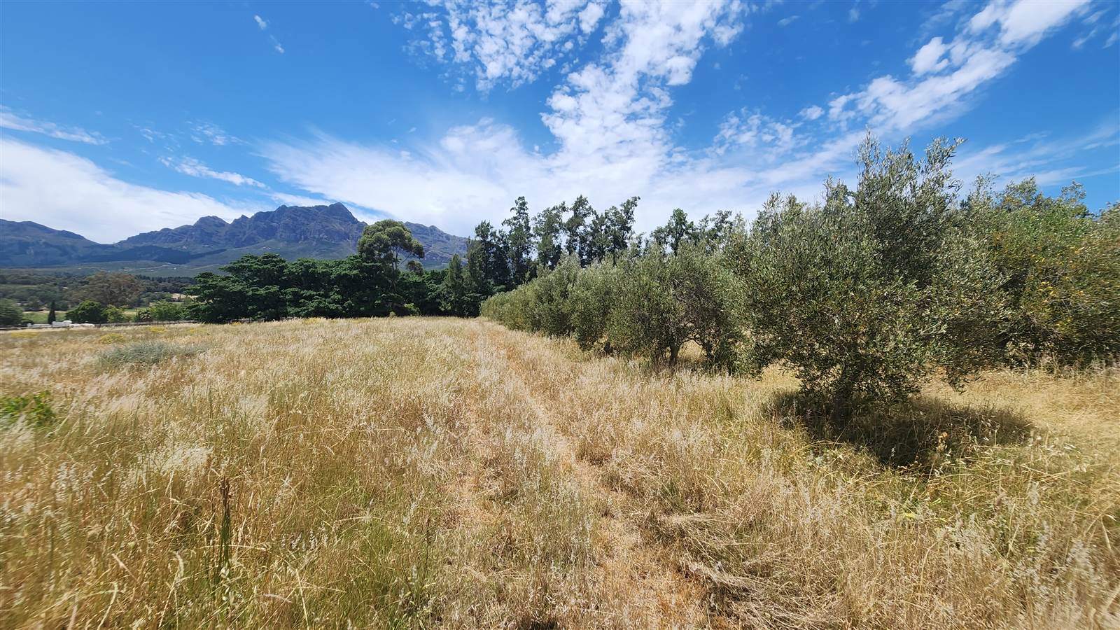6 ha Smallholding in Northern Paarl photo number 12