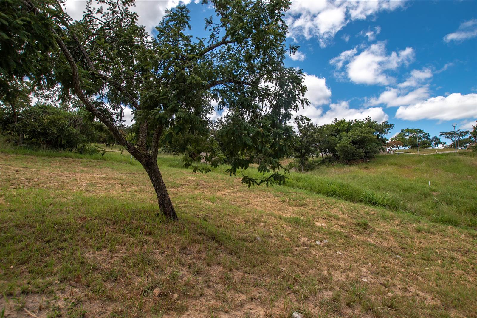 1090 m² Land available in The Rest Nature Estate photo number 11