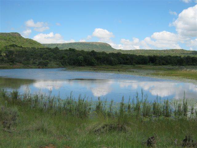 1.3 ha Land available in Modimole (Nylstroom) photo number 5