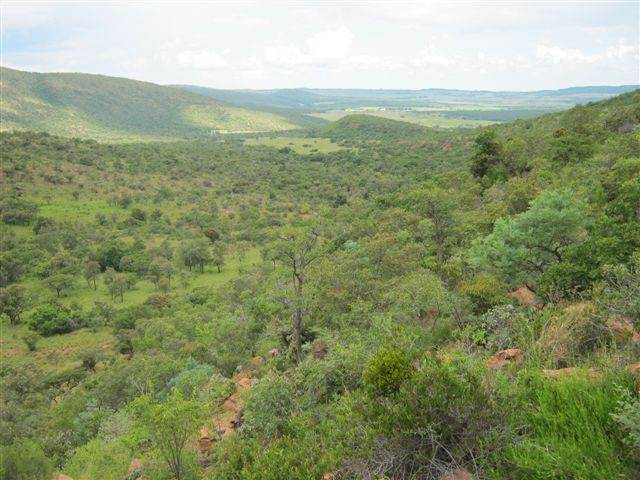 1.3 ha Land available in Modimole (Nylstroom) photo number 7