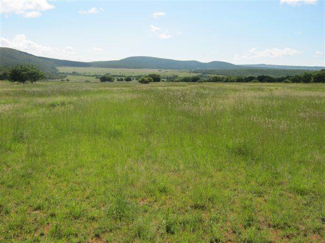 1.3 ha Land available in Modimole (Nylstroom) photo number 6