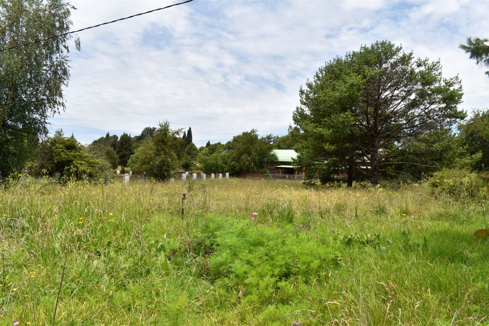 1983 m² Land available in Dullstroom photo number 6