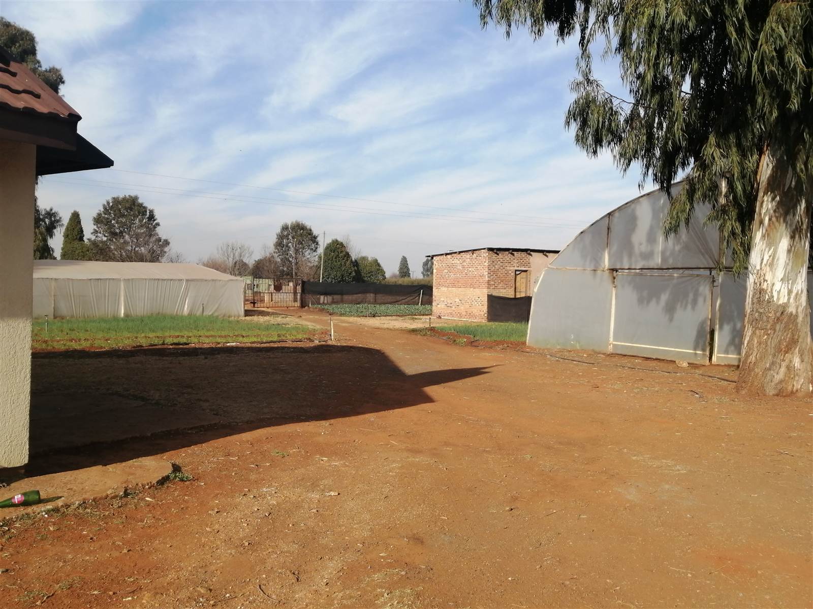 2.2 ha Smallholding in Delmas photo number 6