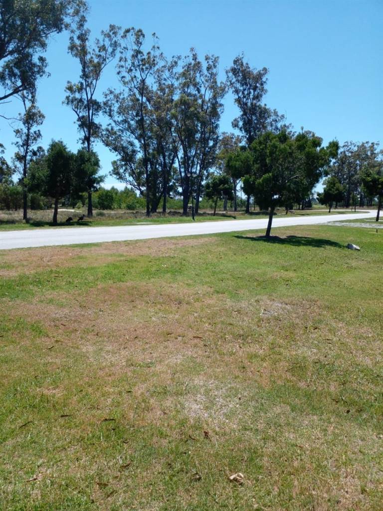 1230 m² Land available in Wedgewood Golf Estate photo number 23