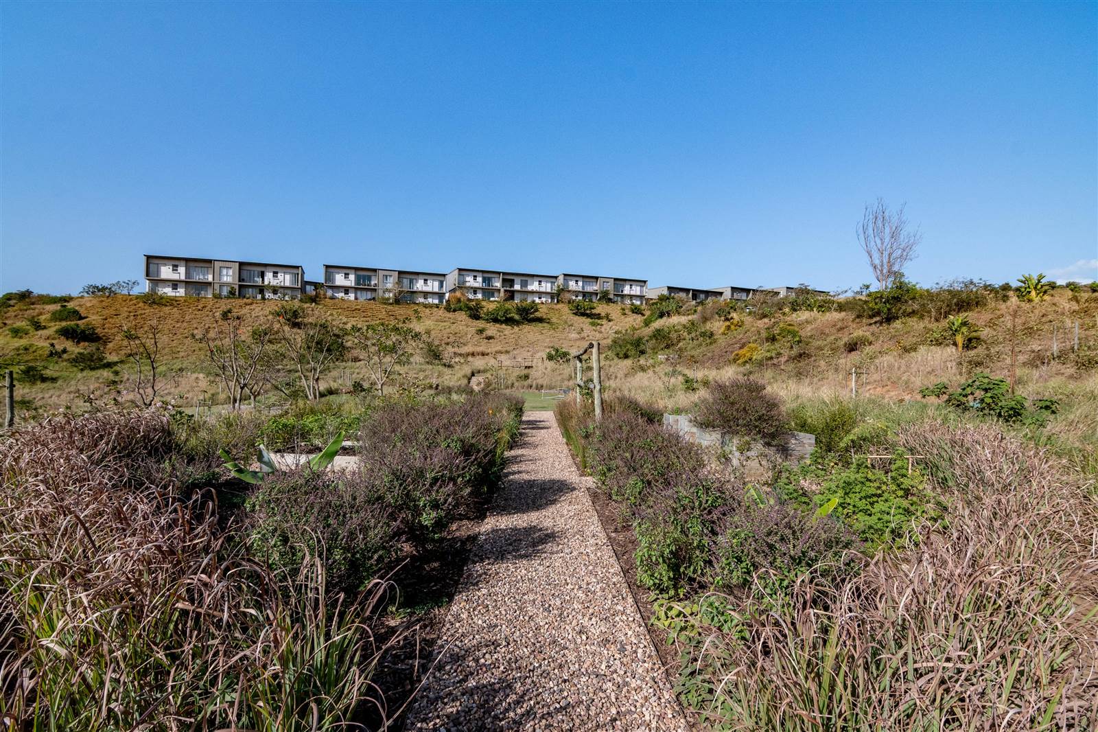 1566 m² Land available in Zululami Luxury Coastal Estate photo number 17