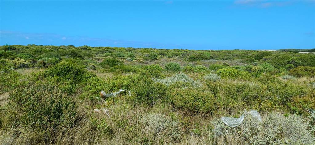600 m² Land available in Kleinbaai photo number 6