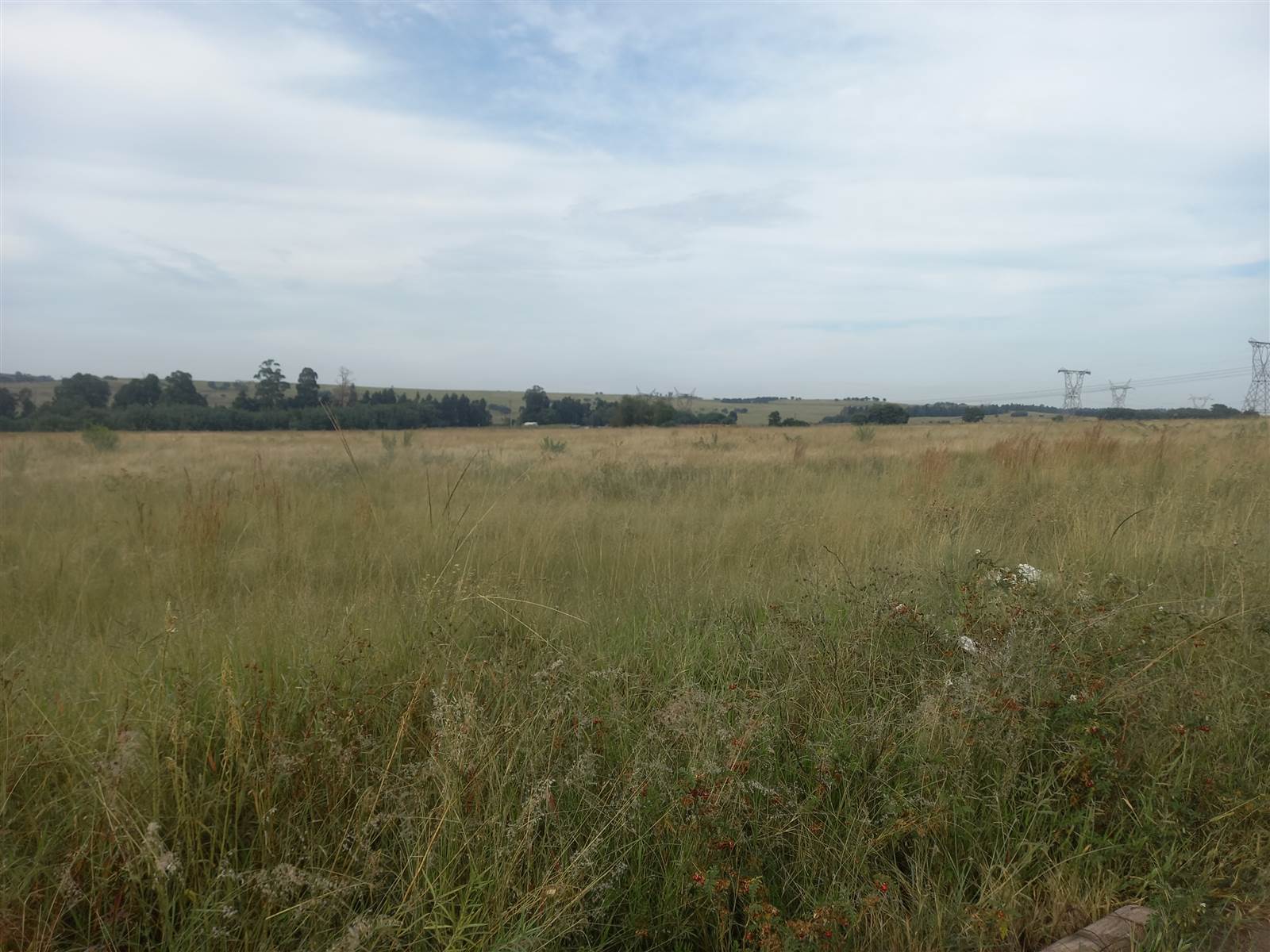 2.2 ha Land available in Naauwpoort photo number 1