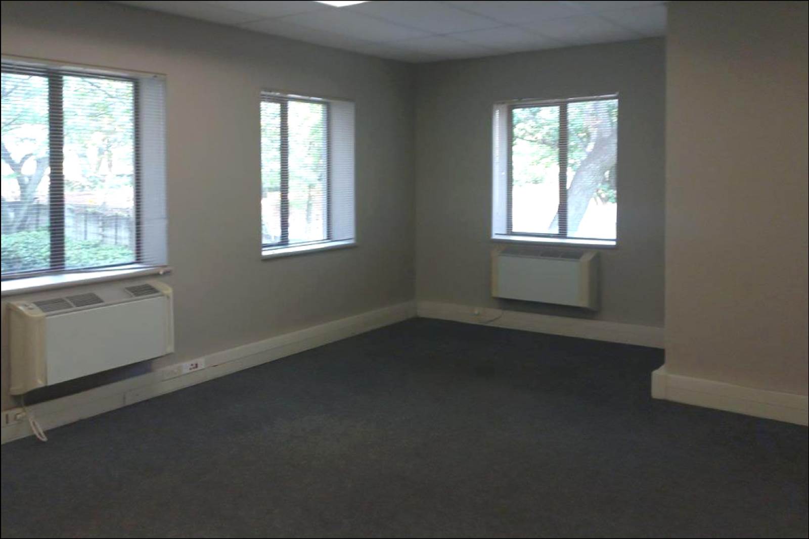 529  m² Commercial space in Bryanston photo number 5