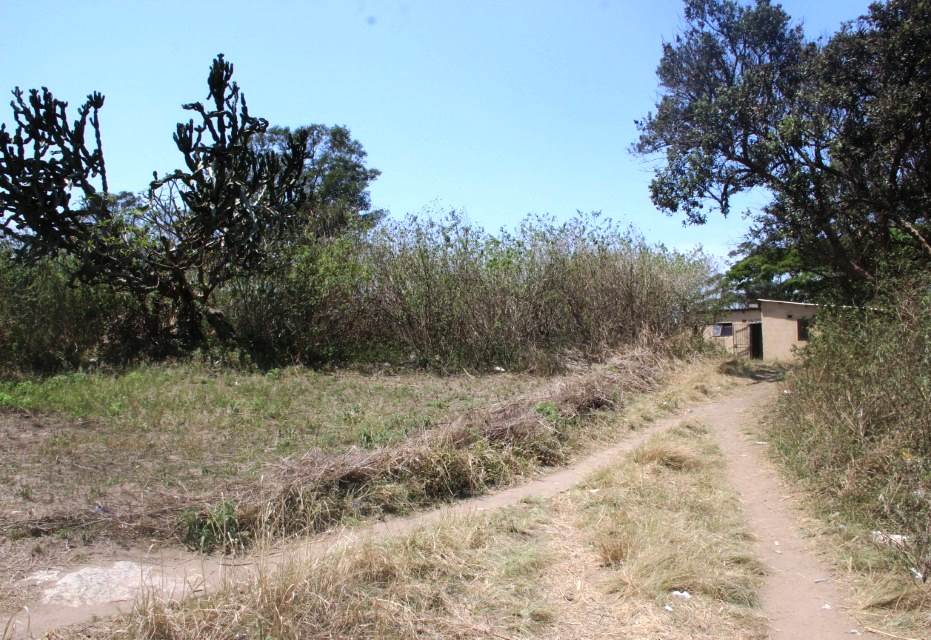 4.9 ha Land available in Umtentweni photo number 6