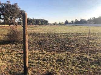 3 ha Land available in Sundra photo number 3