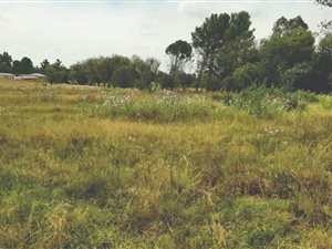 2.2 ha Land available in Buyscelia