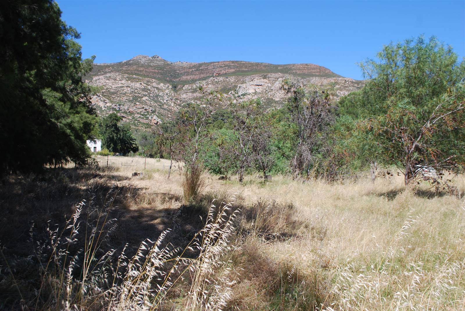 1213 m² Land available in Tulbagh photo number 5
