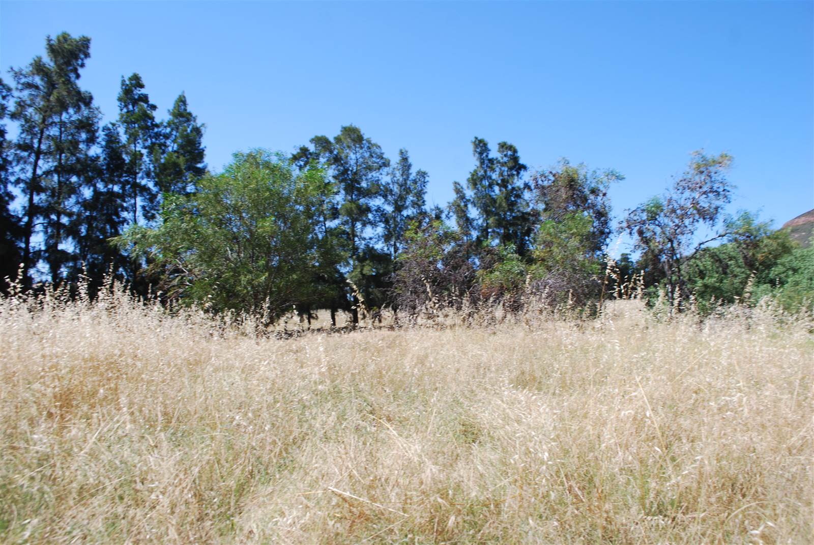 1213 m² Land available in Tulbagh photo number 7