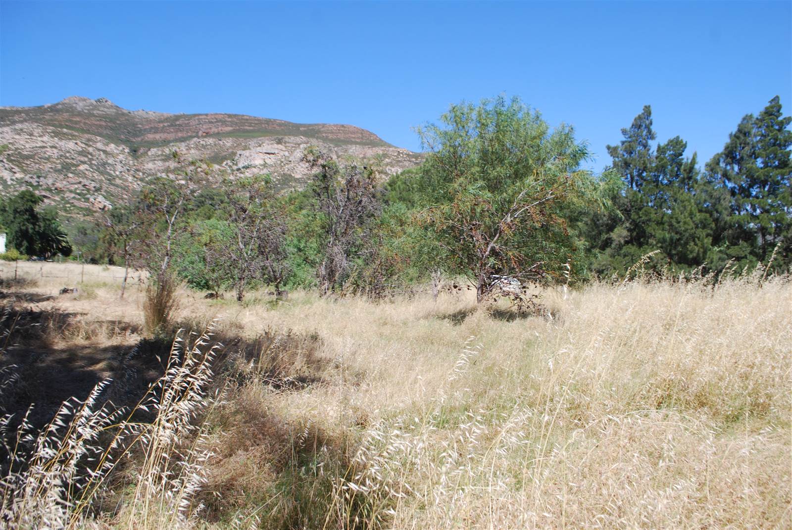 1213 m² Land available in Tulbagh photo number 16