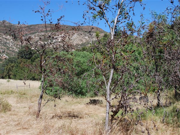1213 m² Land available in Tulbagh