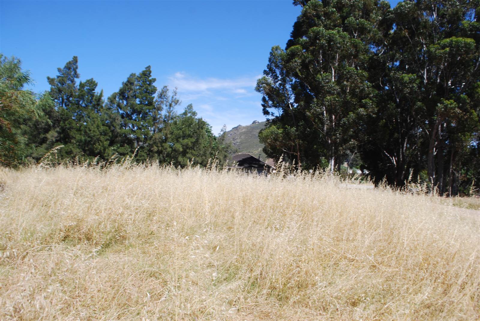 1213 m² Land available in Tulbagh photo number 11