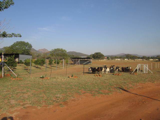 21.5 ha Farm in Mooinooi photo number 12