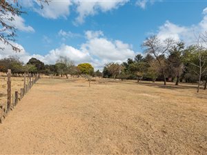 1.5 ha Land available in Shere