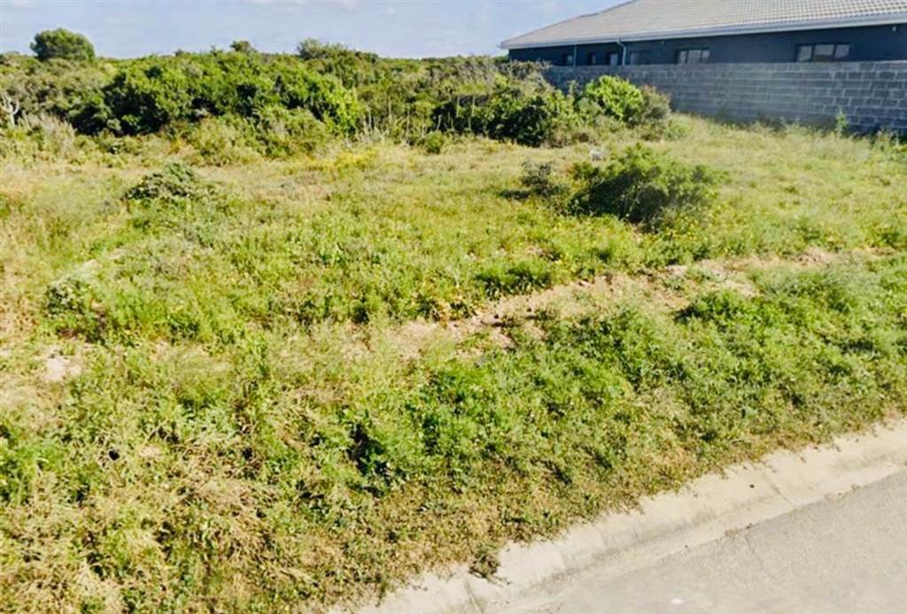 592 m² Land available in Bluewater Bay photo number 4