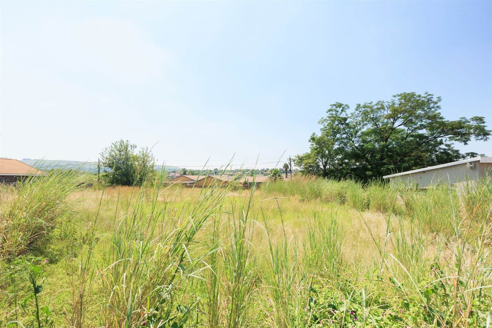 1041 m² Land available in Pioneer Park photo number 1