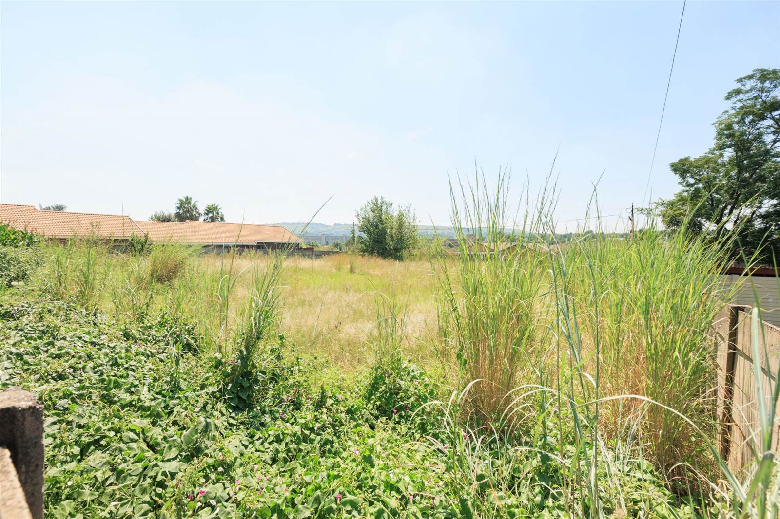 1041 m² Land available in Pioneer Park photo number 2