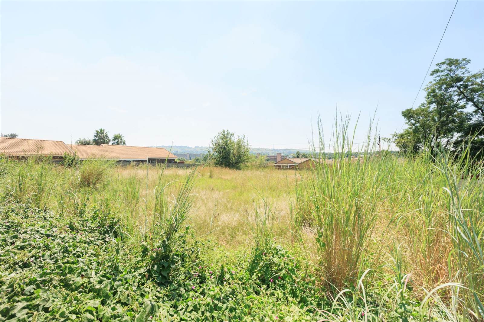 1041 m² Land available in Pioneer Park photo number 3