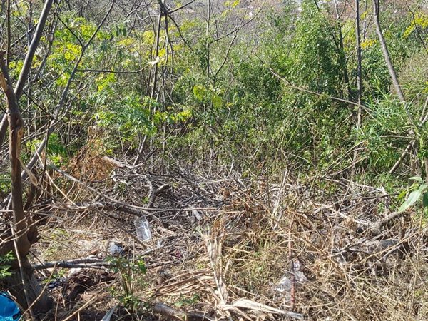 3 117 m² Land 3 117 m² Land