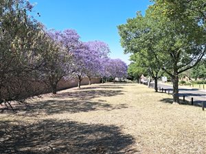 2.1 ha Land available in Randjesfontein