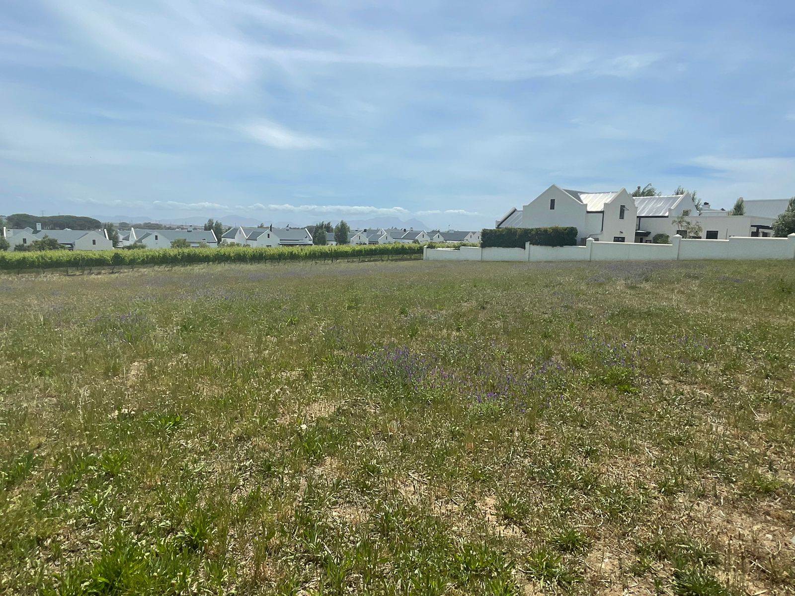 1560 m² Land available in Croydon Vineyard Estate photo number 6