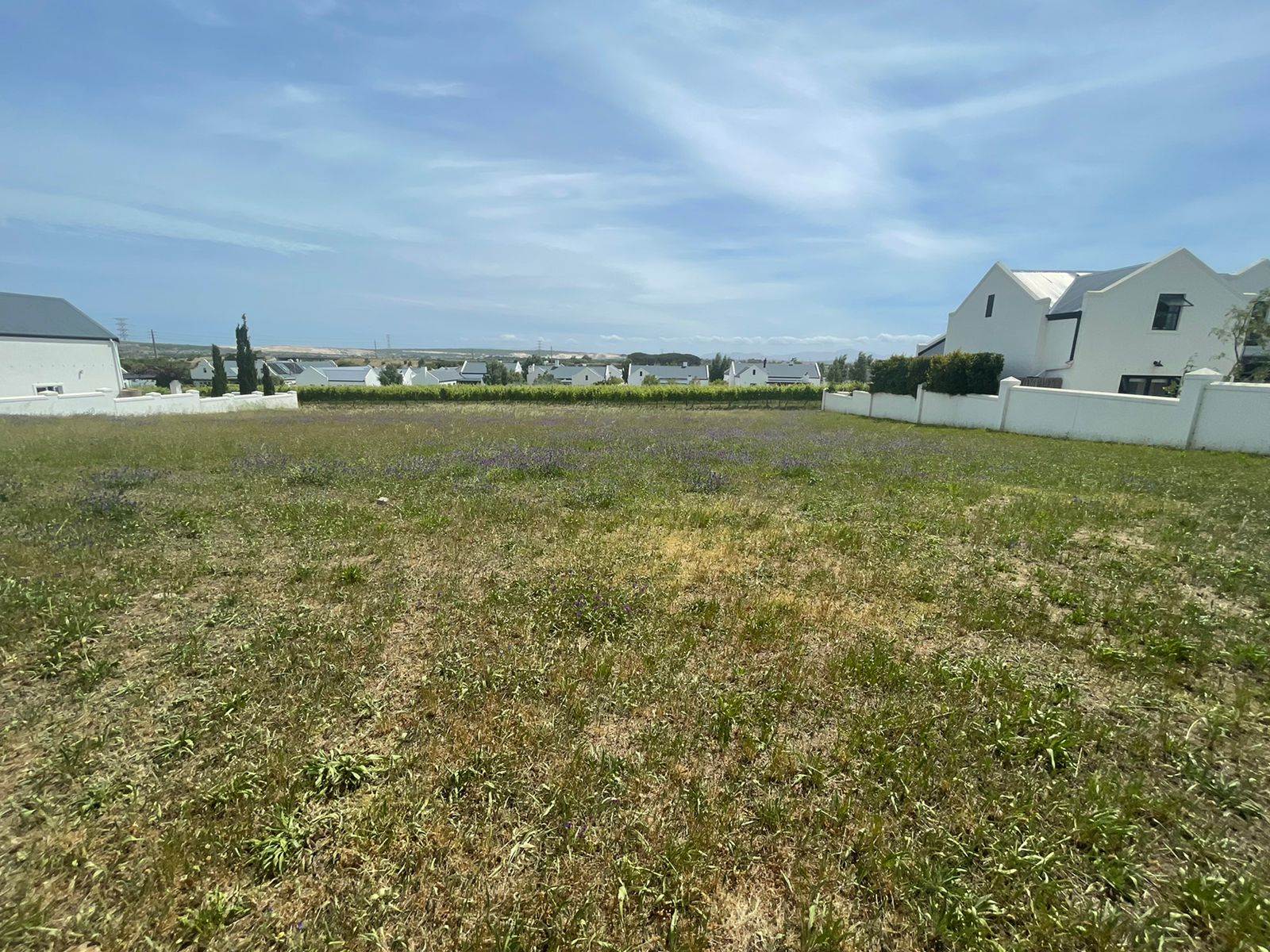 1560 m² Land available in Croydon Vineyard Estate photo number 1