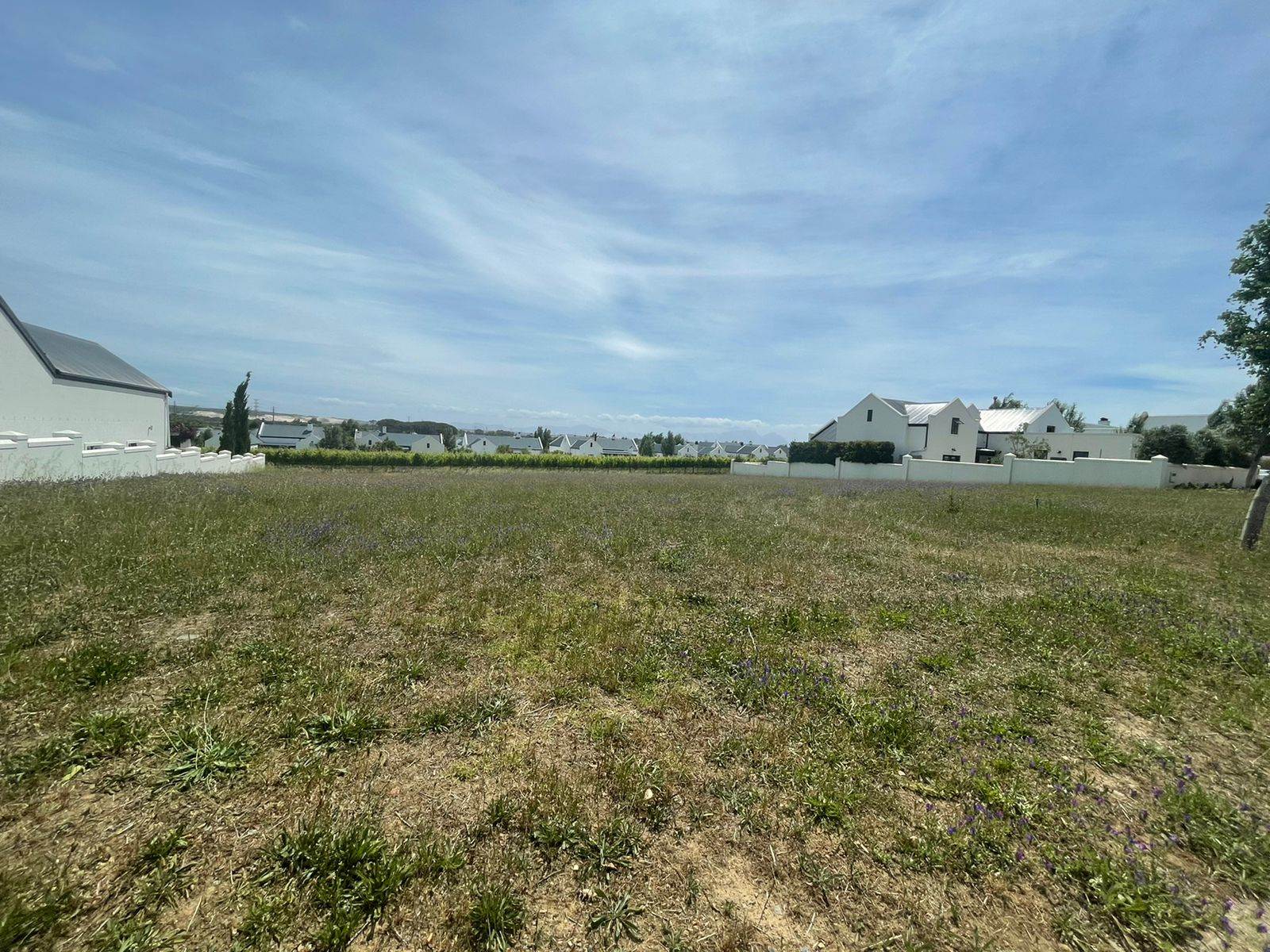 1560 m² Land available in Croydon Vineyard Estate photo number 5
