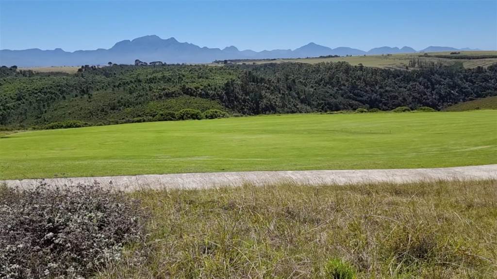 1013 m² Land available in Oubaai and surrounds photo number 19