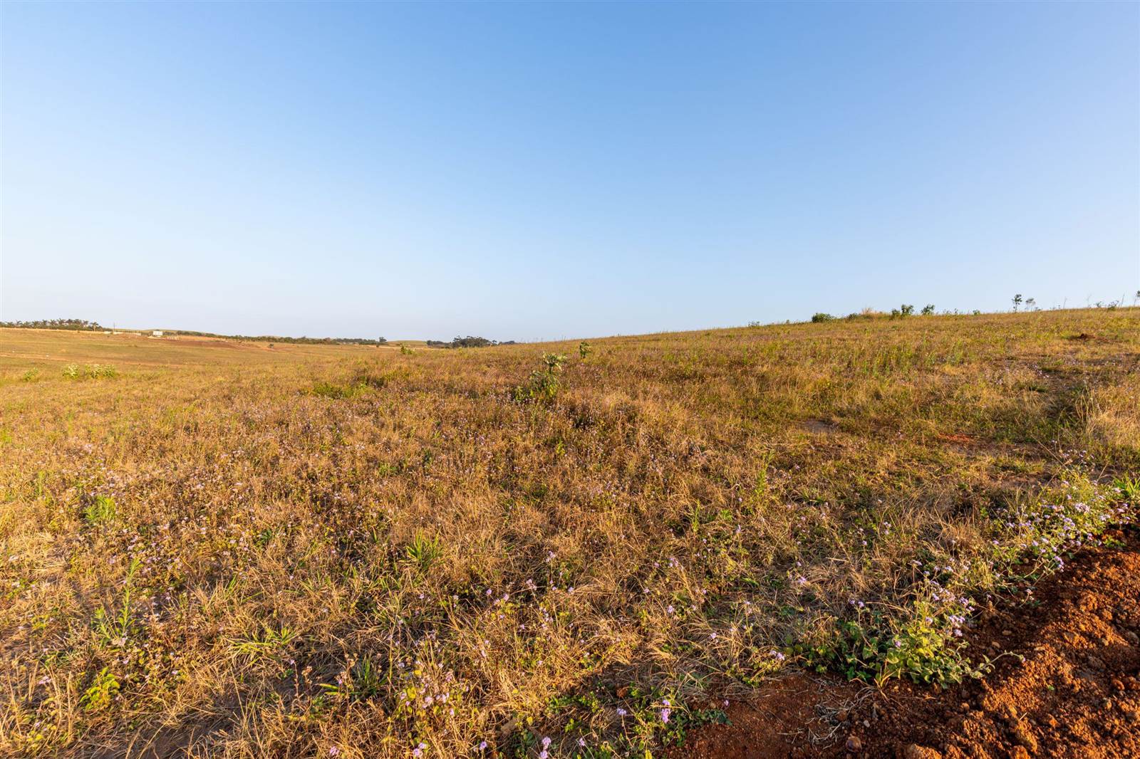 2052 m² Land available in Springvale Country Estate photo number 12