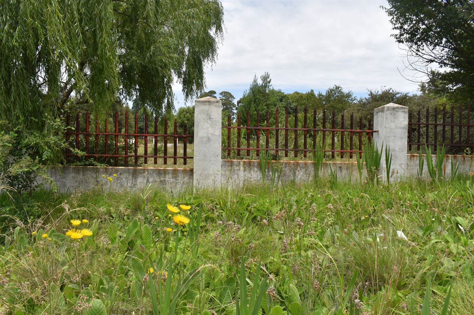 1983 m² Land available in Dullstroom photo number 11