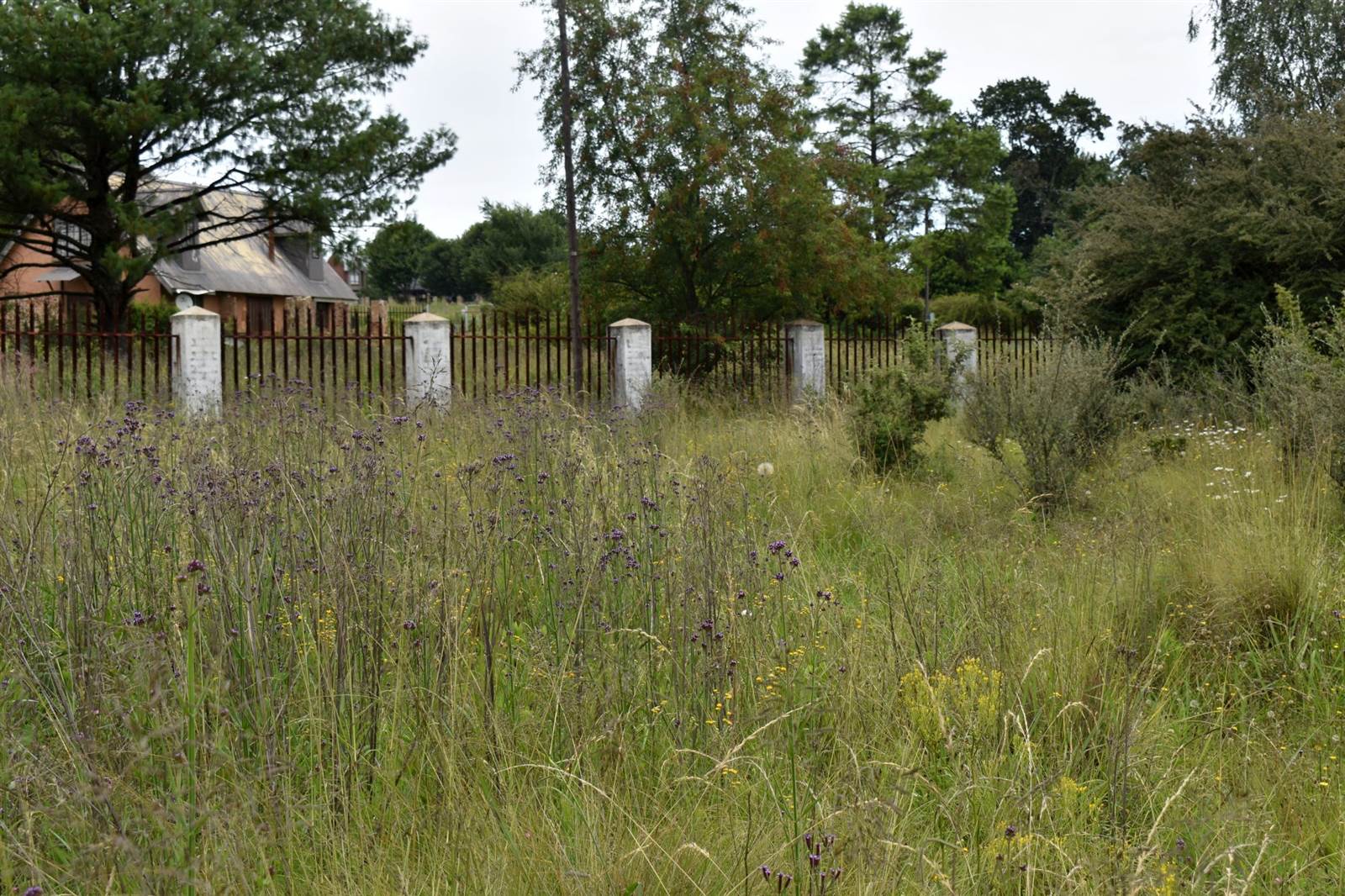 1983 m² Land available in Dullstroom photo number 8