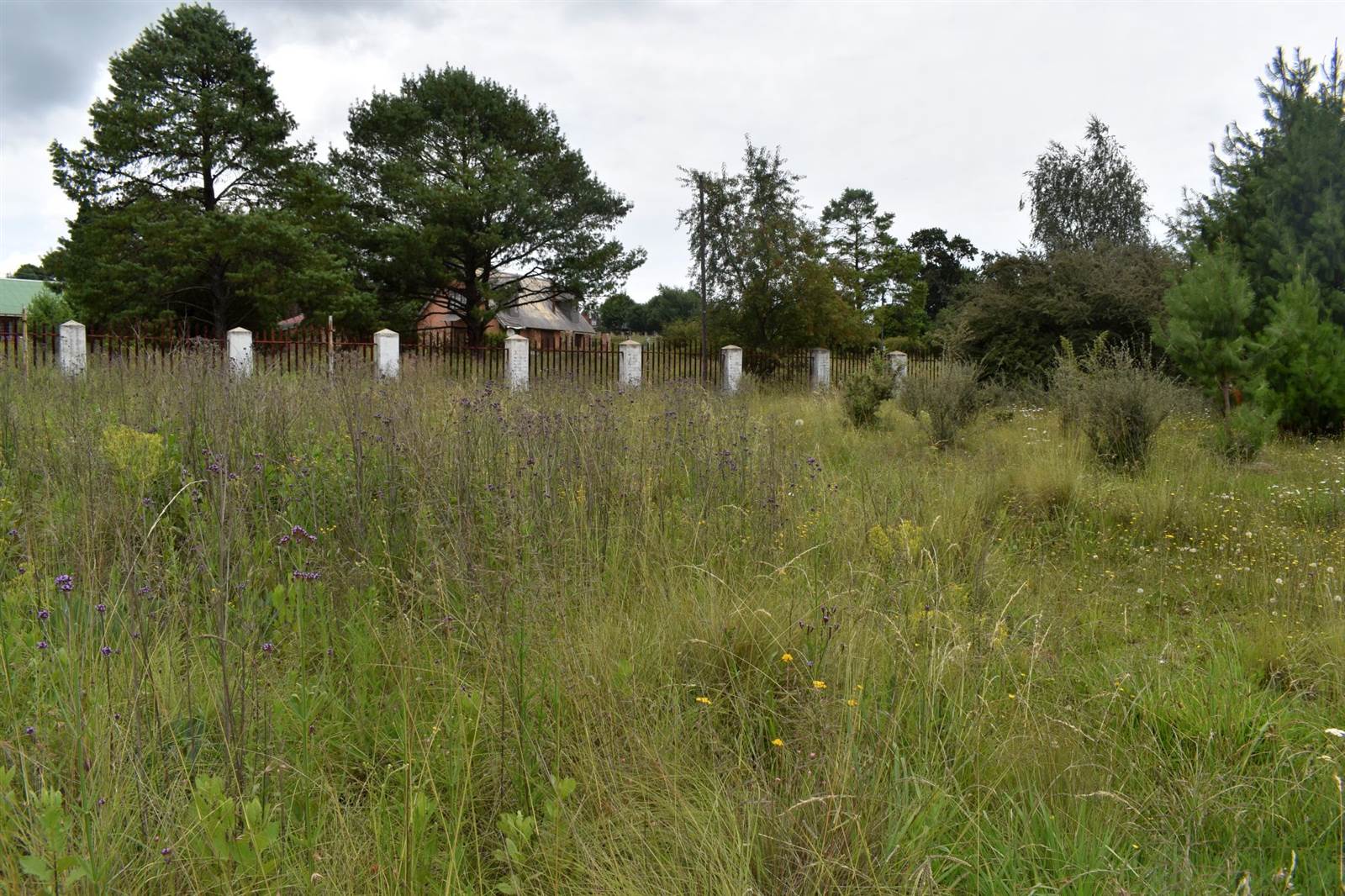 1983 m² Land available in Dullstroom photo number 7