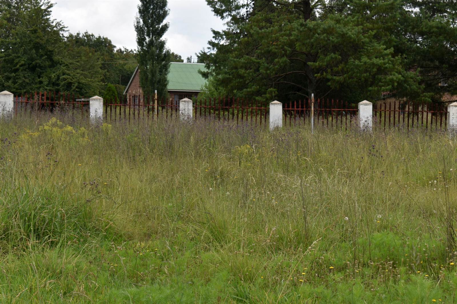 1983 m² Land available in Dullstroom photo number 4