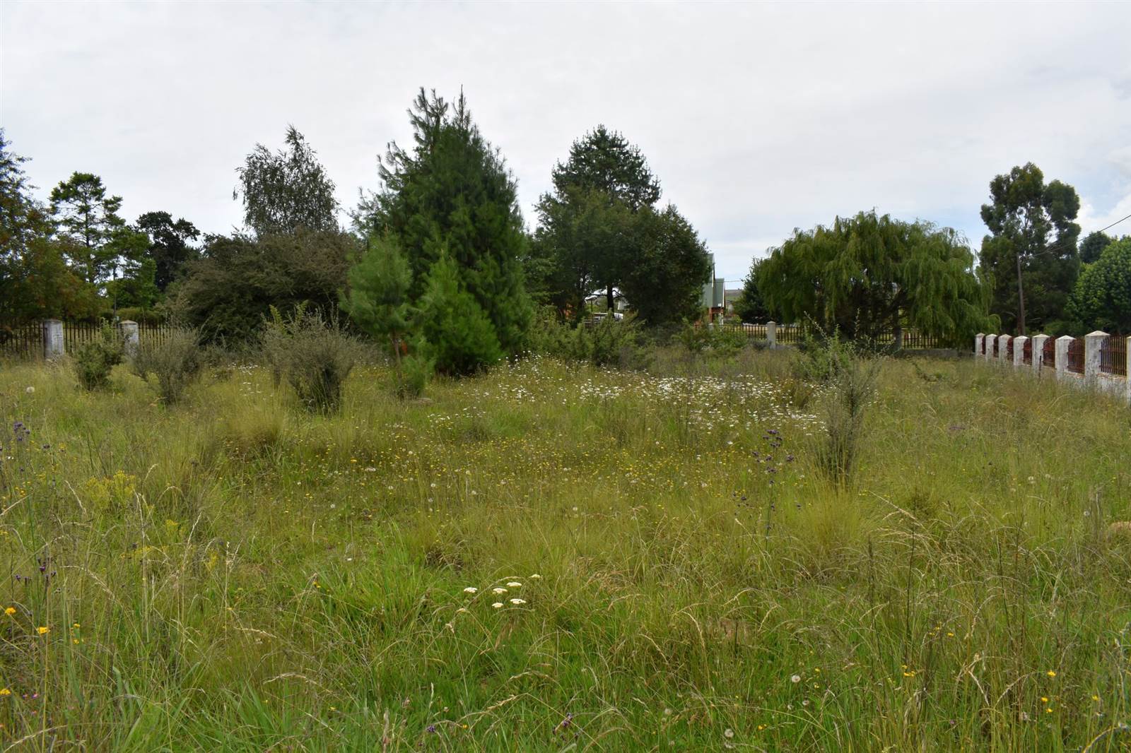 1983 m² Land available in Dullstroom photo number 6
