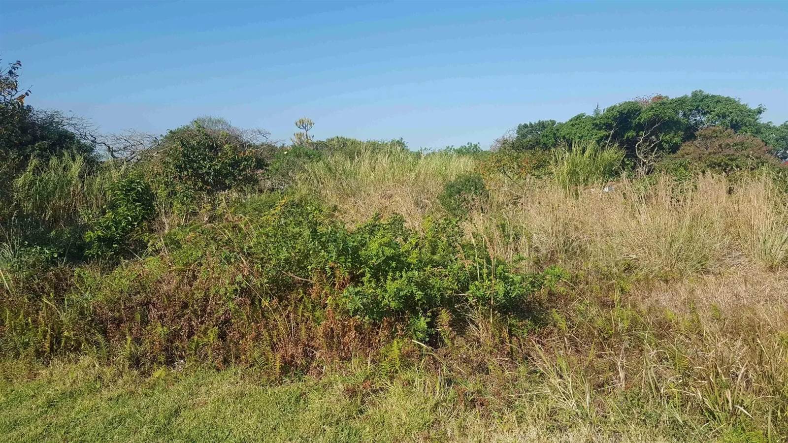 2023 m² Land available in Port Edward photo number 4