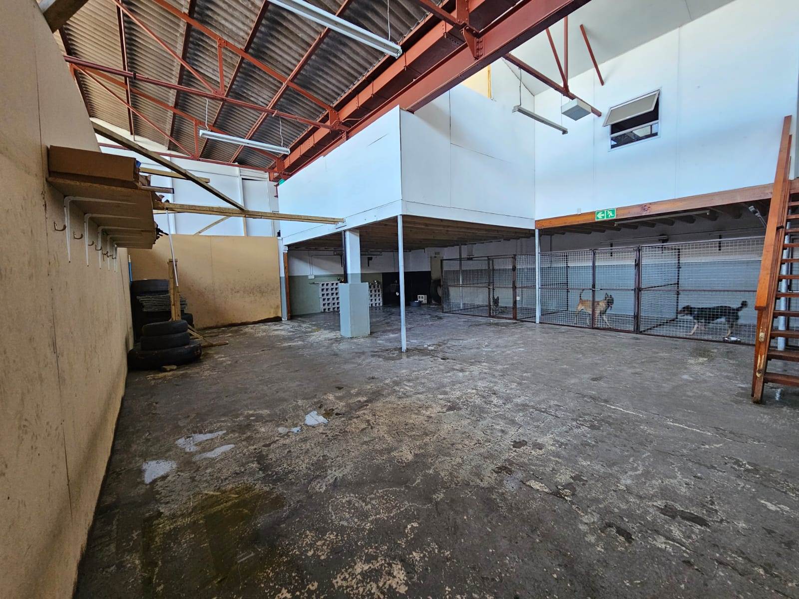 850  m² Industrial space in Ndabeni photo number 9