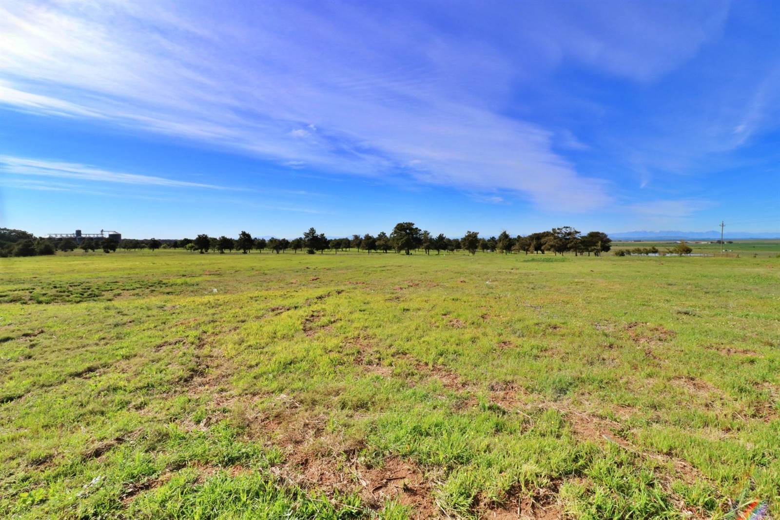 923 m² Land available in Darling photo number 8