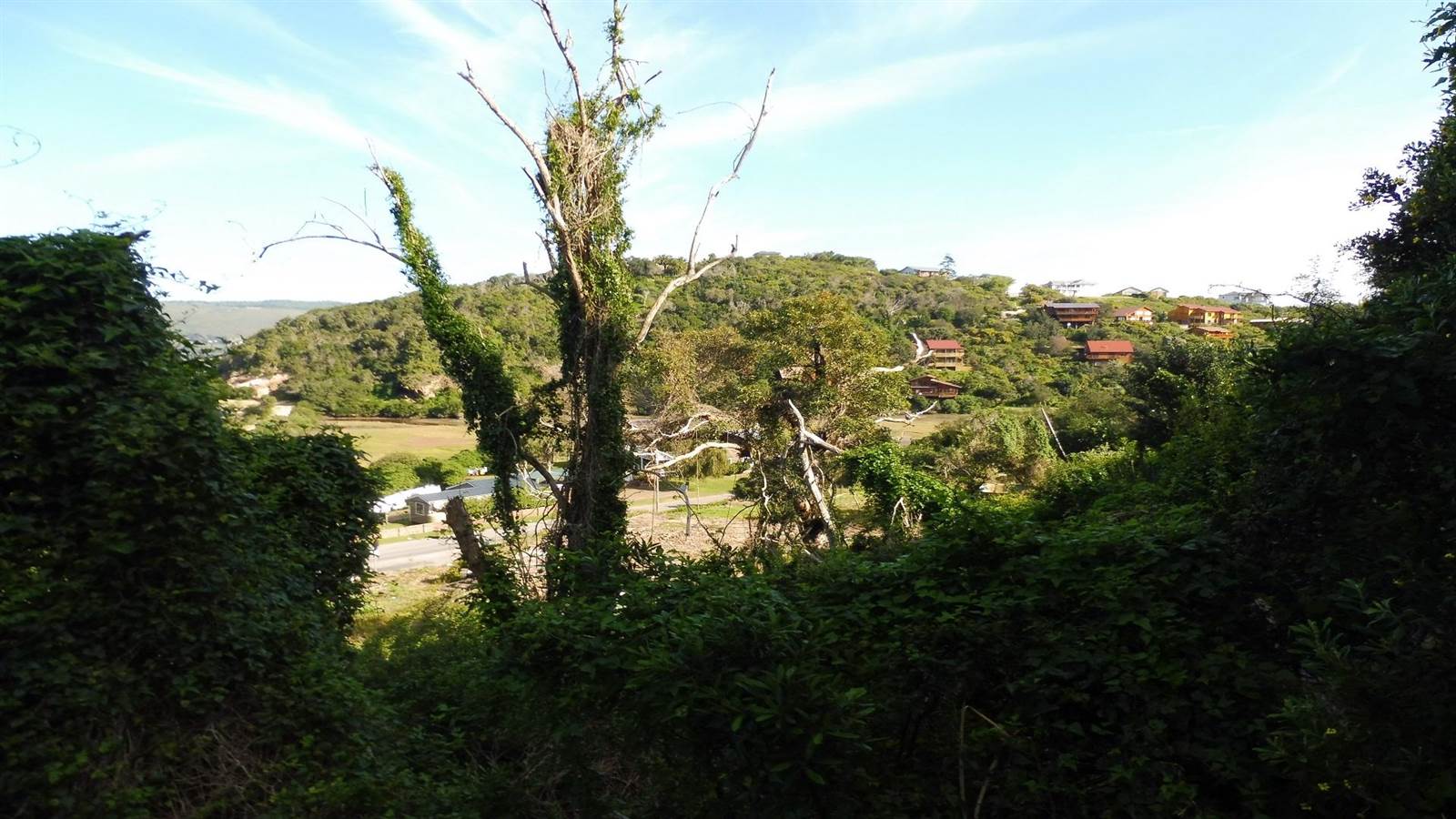 1557 m² Land available in Paradise photo number 12