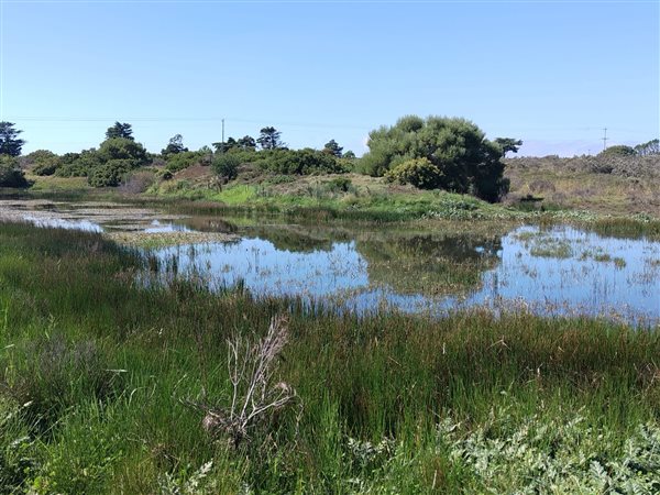34 ha Farm