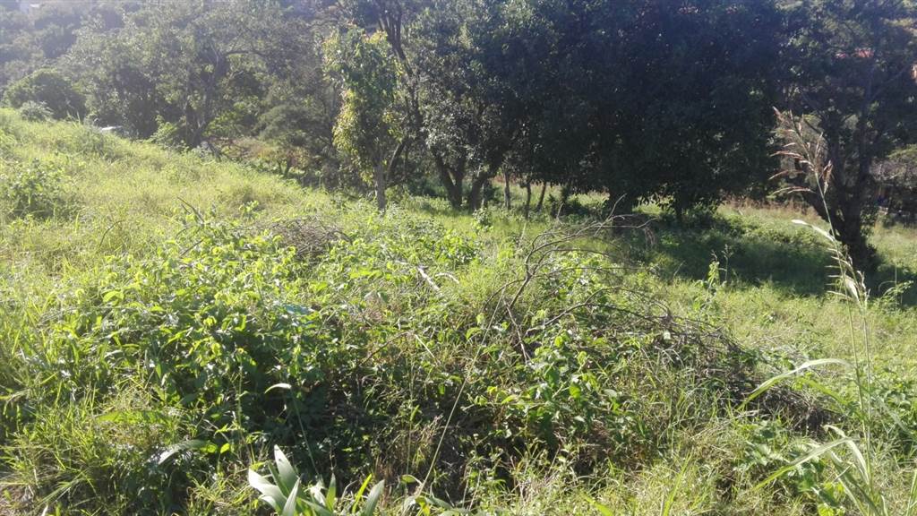 850 m² Land available in Port Shepstone photo number 2