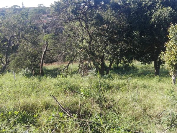 850 m² Land available in Port Shepstone